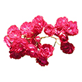 mini rosa