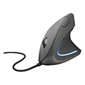 ergonomic mouse