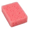 cleaning sponge