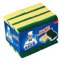 rinsing sponge