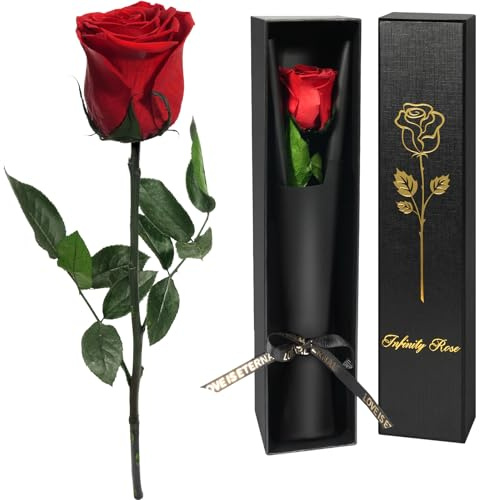 Yamonic Preserved Real Rose Gifts for Women, Single Red Rose with Stem Birthday Gift For Women, Eternal Flower Gift for Mum,Flower Presents for Wife Girlfriend,Valentines Gifts for Her