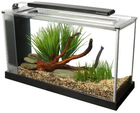 Fluval Spec 19L Nano Aquarium Kit with LED Lighting and 3-Stage Filtration - Gloss Black