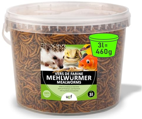 UGF - vers de Farine séchés de qualité supérieure - 460 g en Seau de 3 litres, Nourriture pour Oiseaux Sauvages Toute l'année, Nourriture pour hérissons, écureuils et Hamsters