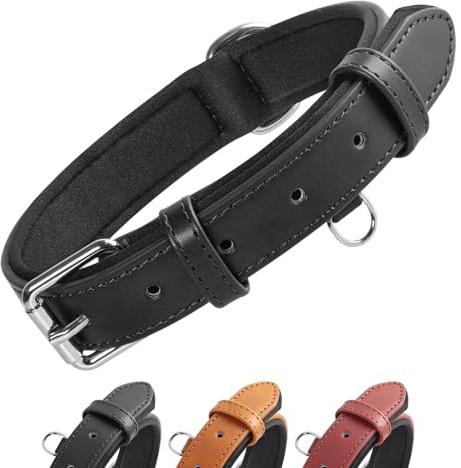 Grand Line Collier de Chien Ajustable Coussin Moelleux Cuir Rembourré avec Perforatrice 3 Couleur 4 Tailles, Noir(M)