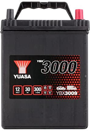 Yuasa YBX3009 12V 30Ah 300CCA Car Starter Battery