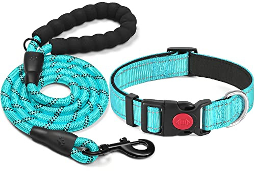 haapaw Collier pour Chien réfléchissant rembourré en néoprène Souple et Respirant, réglable en Nylon pour Petits, Moyens et Grands Chiens